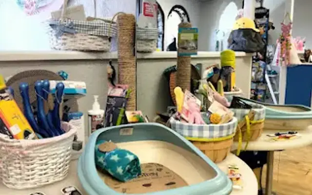 Puppy Ciao Pet Boutique and Grooming in Rio Rancho, NM