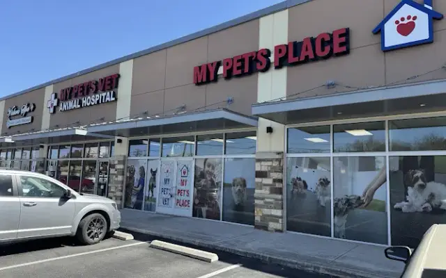My Pet's Vet - San Antonio in San Antonio, TX