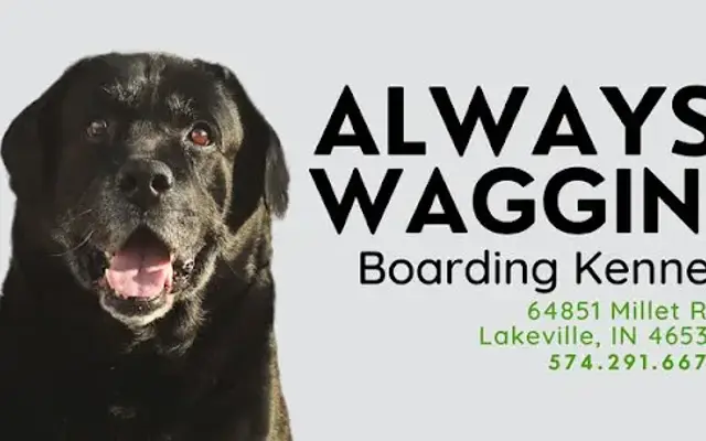 Always Waggin Boarding Kennel in Lakeville, IN