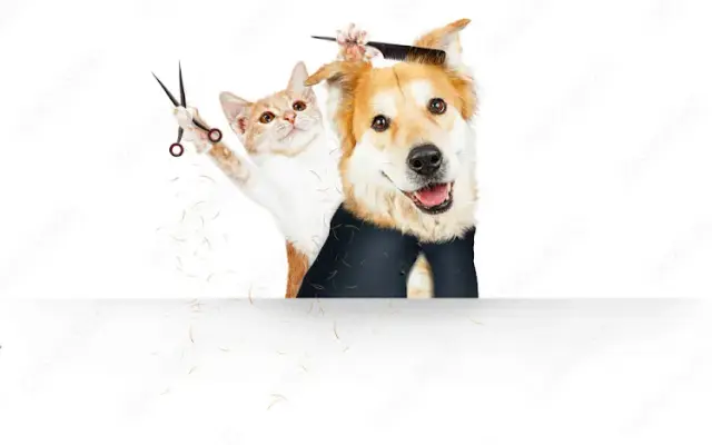 Roxy's Pet Spa in Vero Beach, FL