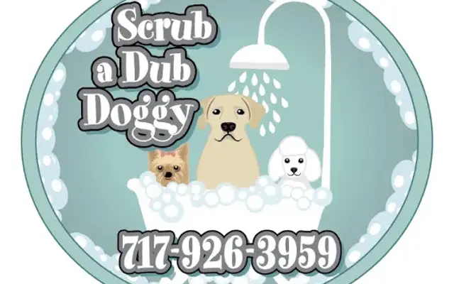 Scrub a Dub Doggy in Hershey, PA