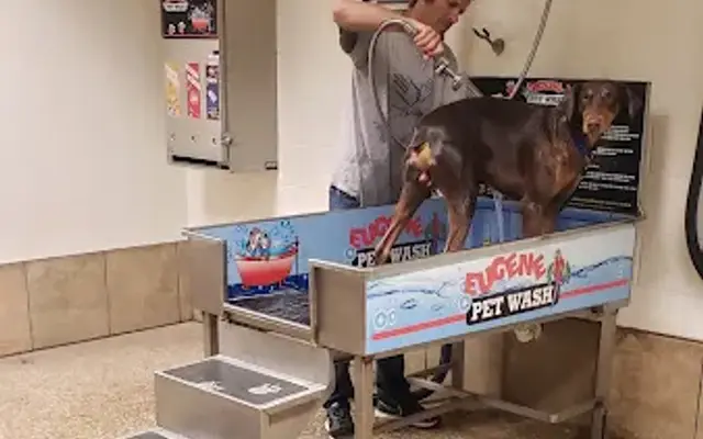 Eugene’s Pet Wash in Odessa, TX