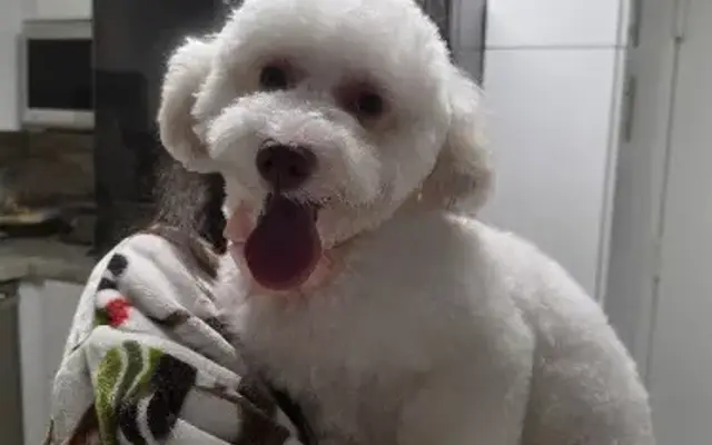 Fur Life Pets in Miami, FL