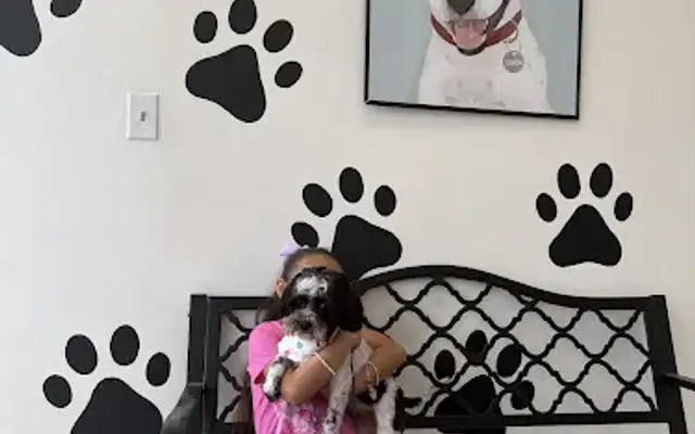 Simon's Paws in Houston, TX