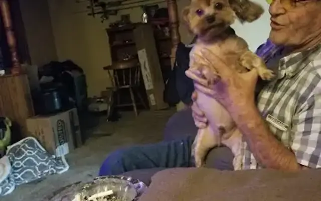Animal House Grooming in Bolivar, MO