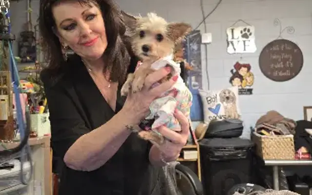 Discount Dog Grooming in Duncan, OK