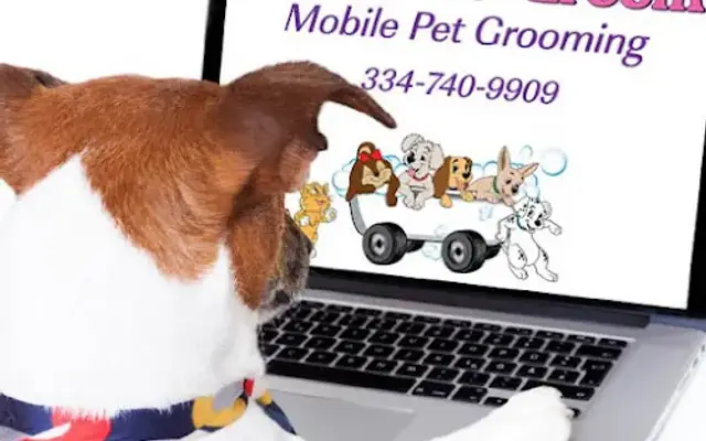 Zoom to Groom Mobile Pet Grooming in Vestavia Hills, AL