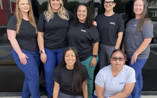 VCA Orange Animal Hospital in Orange, CA