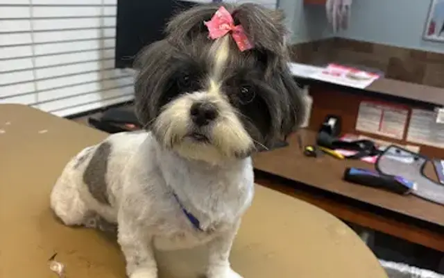 K’spawboutique in Harvey, LA