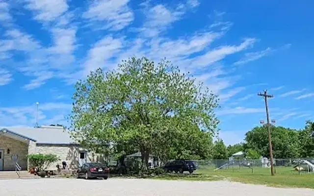 BlooMoon Pet Resort, Boarding & Grooming in Chico, TX