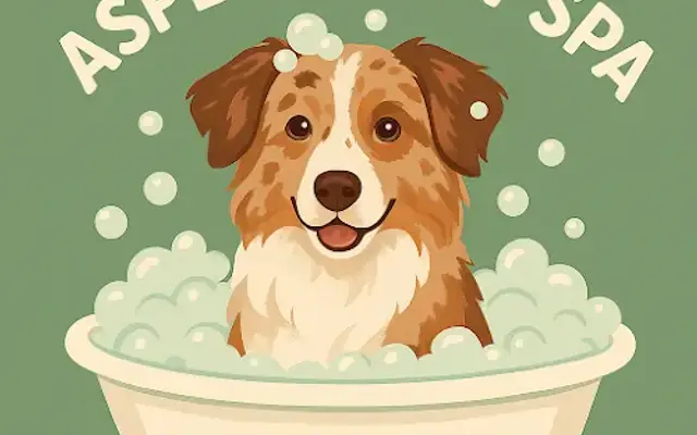 Aspen’s Paw Spa in Pensacola, FL