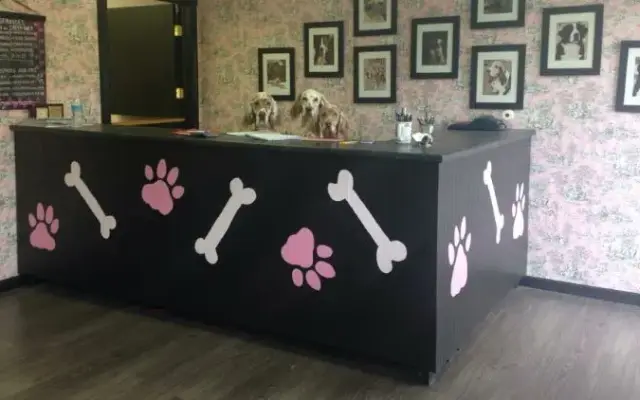 Heads Or Tails Dog Grooming in Yorkville, IL