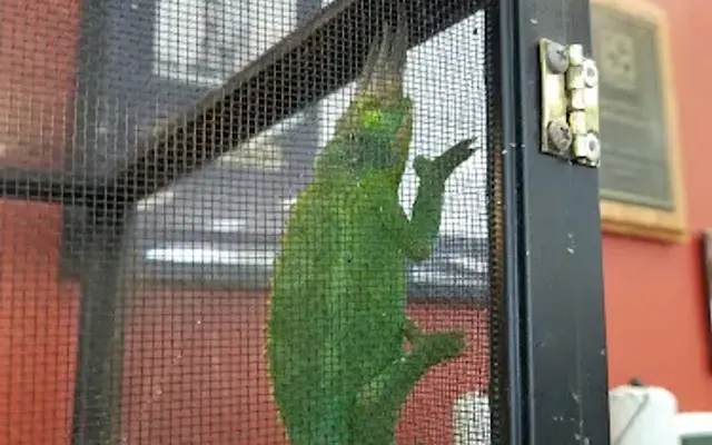 Petland Bradenton in Bradenton, FL