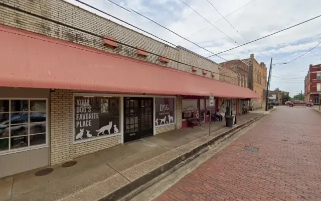 Dirty Dog Grooming in Nacogdoches, TX