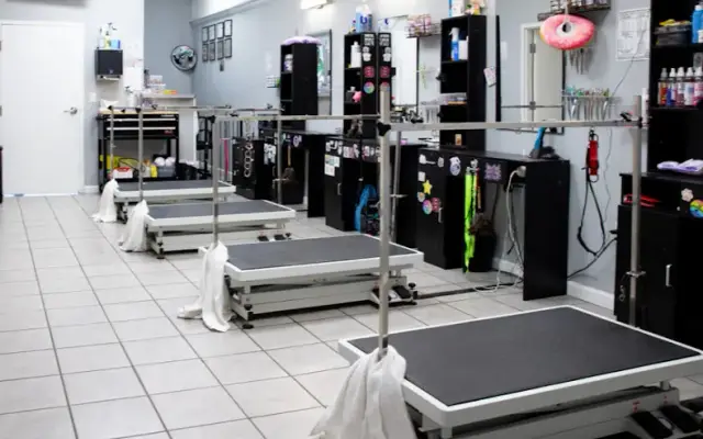 Tramway Dog Grooming in Sanford, NC