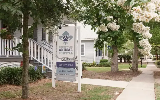 Mandeville Animal Hospital in Mandeville, LA