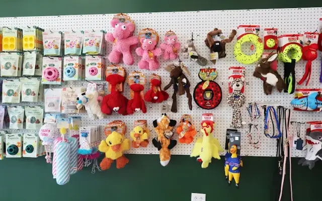 Lucky Dog Pet Company in Hamburg, NY