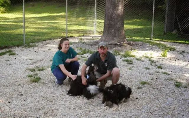 VCA Westbury Pet Care Center in Summerville, SC