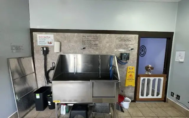 DIY Dog Wash in Howard, OH