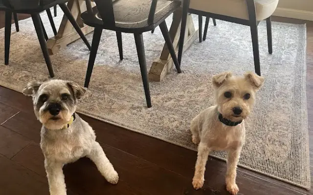 The Groomery in Edmond, OK