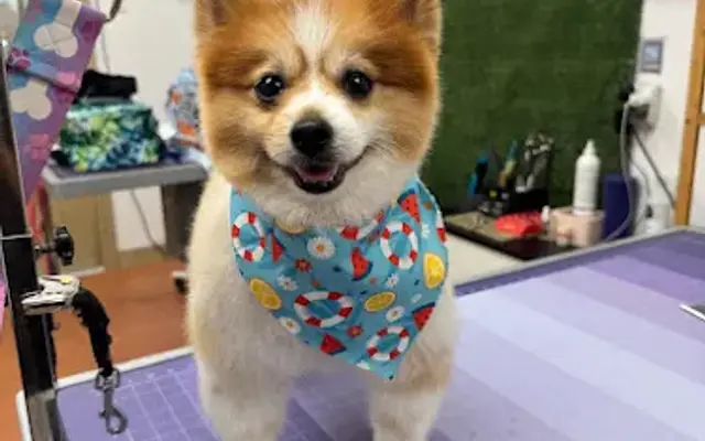 Takma Pets in Weston, FL