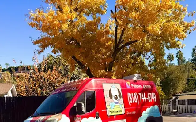PUPPIES GROOM MOBILE in Northridge, CA