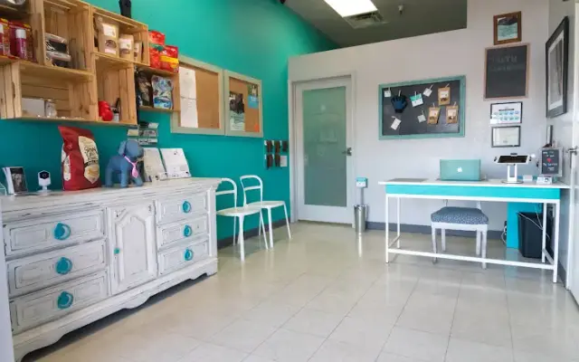Puff & Fluff Grooming - Arcadia in Phoenix, AZ