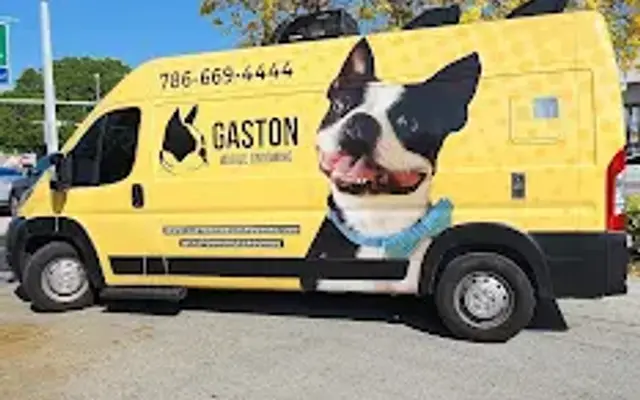 Gaston Mobile Grooming in Doral, FL