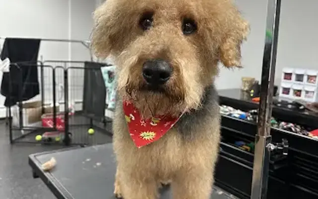 Groom Room-Reading in Reading, MA