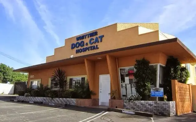 Whittier Dog and Cat Hospital in Whittier, CA