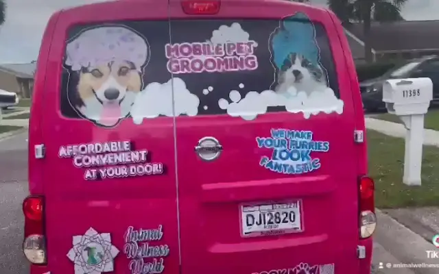 Animal Wellness World Mobile pet grooming in Winter Garden, FL