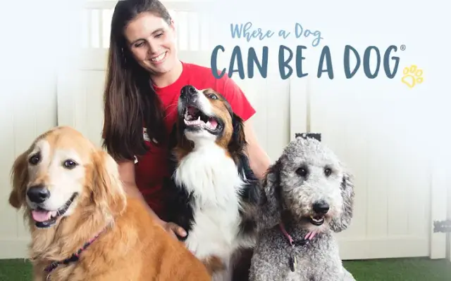 Camp Bow Wow Greensboro in Greensboro, NC