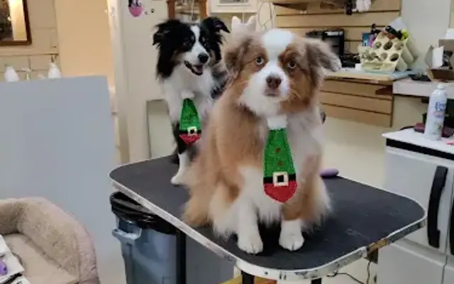 A Woof-A Whinny-A Purr-R in Snellville, GA