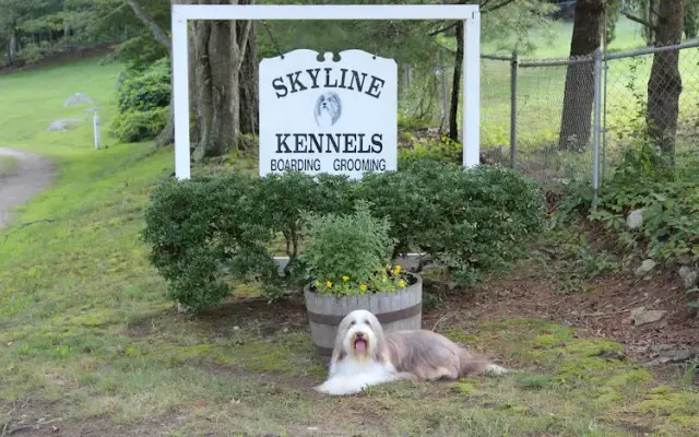 Skyline Kennels in Salem, CT
