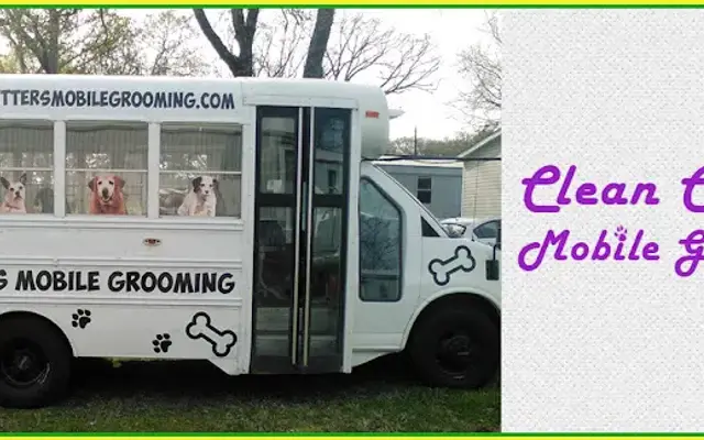 Clean Critters Mobile Grooming in Kilgore, TX