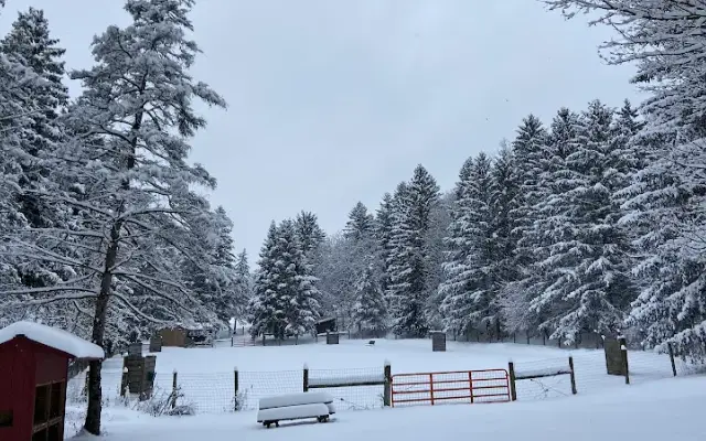 Salty Dog Ranch in Camillus, NY