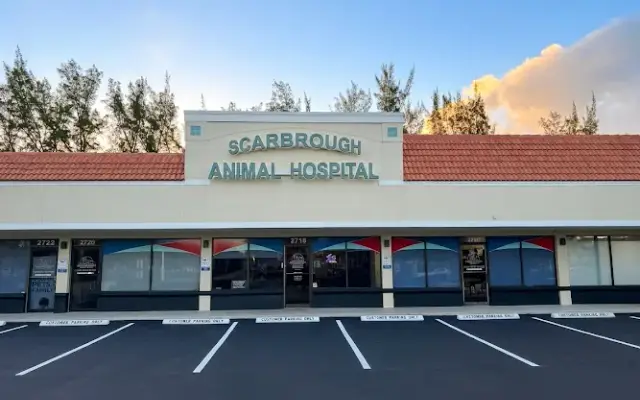 Scarbrough Animal Hospital in Sunrise, FL