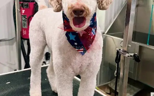 Paw House Groomery in Shelbyville, KY