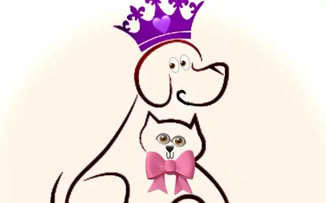 Royal pet spa and training in Port St. Lucie, FL