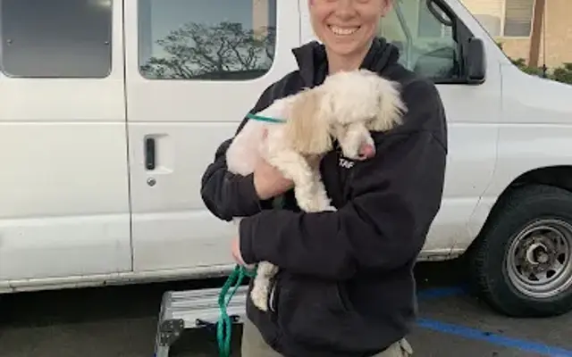 Uncle Dave's Mobile Dog Grooming in Ventura, CA