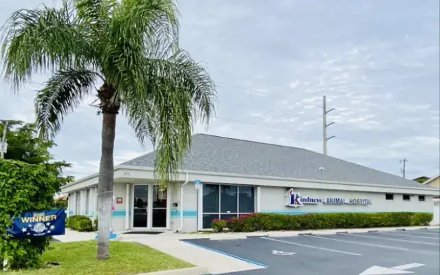 Kindness Animal Hospital - West in Cape Coral, FL