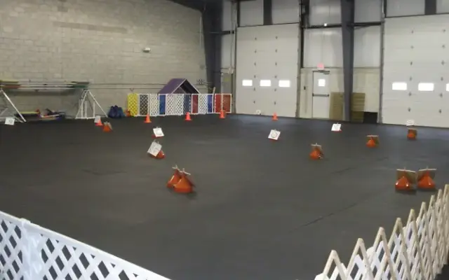 Canine Affair Center in Chesterland, OH