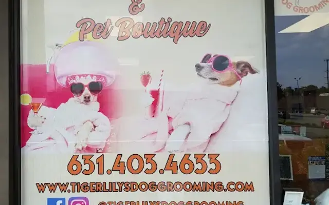 Tigerlily's Dog Grooming in Miller Place, NY