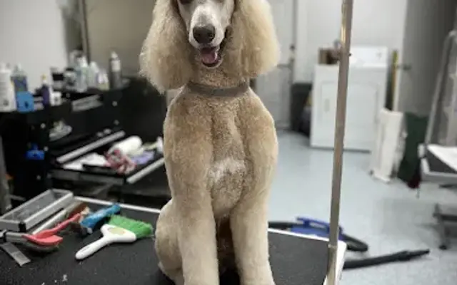 Paw Naturelle Pet Spa in Nokomis, FL