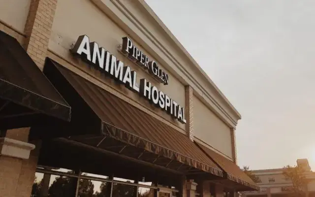 Piper Glen Animal Hospital in Charlotte, NC