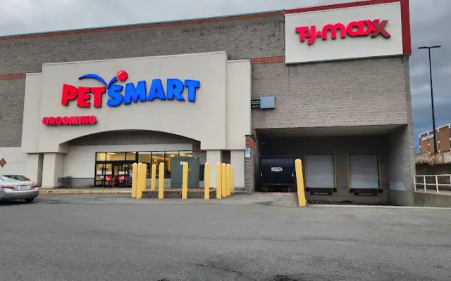 PetSmart in Albany, NY