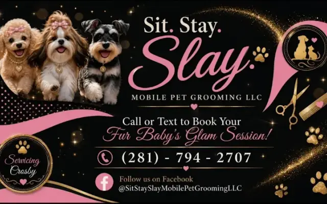 Sit Stay Slay Mobile Pet Grooming in Crosby, TX