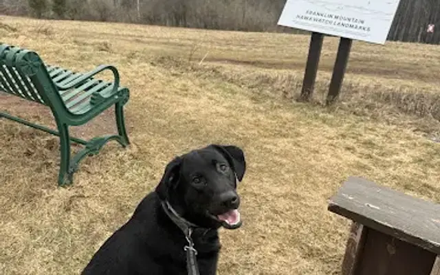 Hillside Kennels in Oneonta, NY
