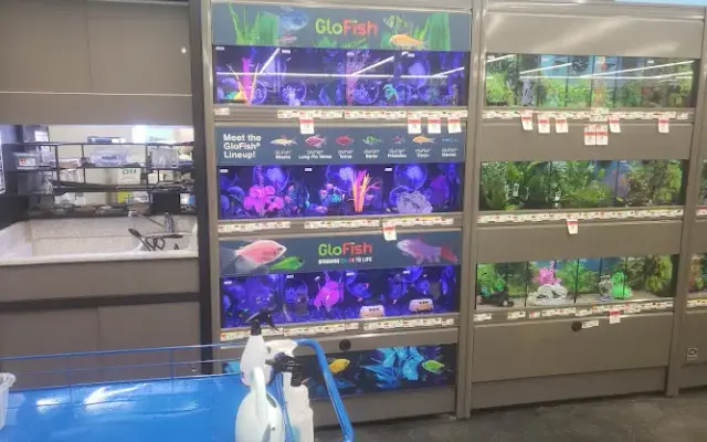 Pet Supplies Plus Kingsport Grooming in Kingsport, TN