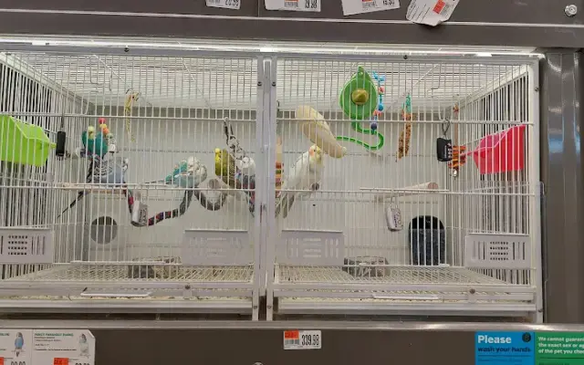 Pet Supplies Plus Williamsburg in Williamsburg, VA